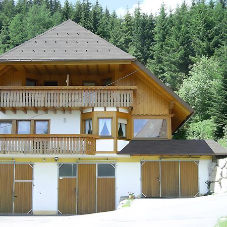 Hinterhauensteinhof Villa Hornberg Exterior foto