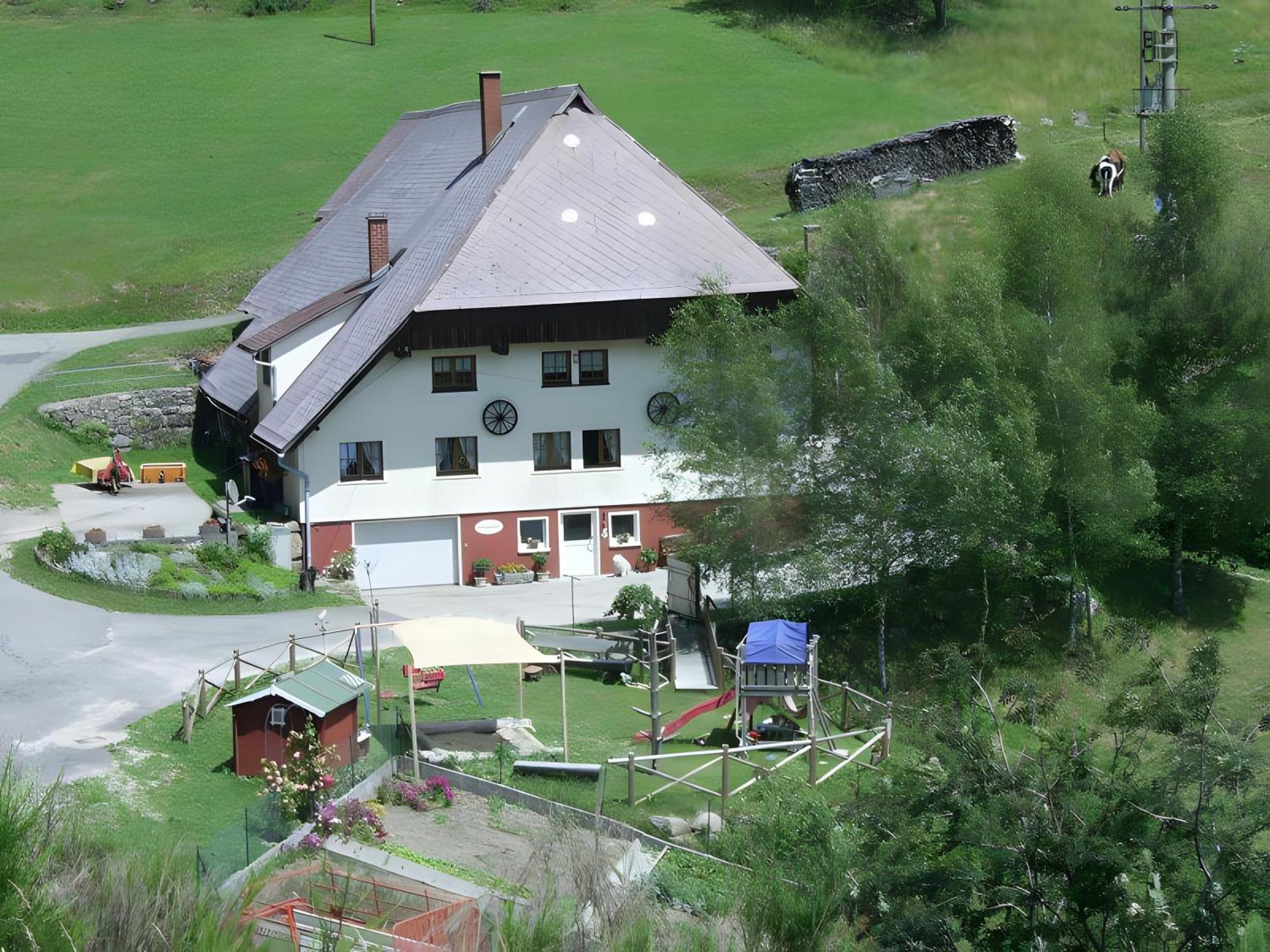 Hinterhauensteinhof Villa Hornberg Exterior foto