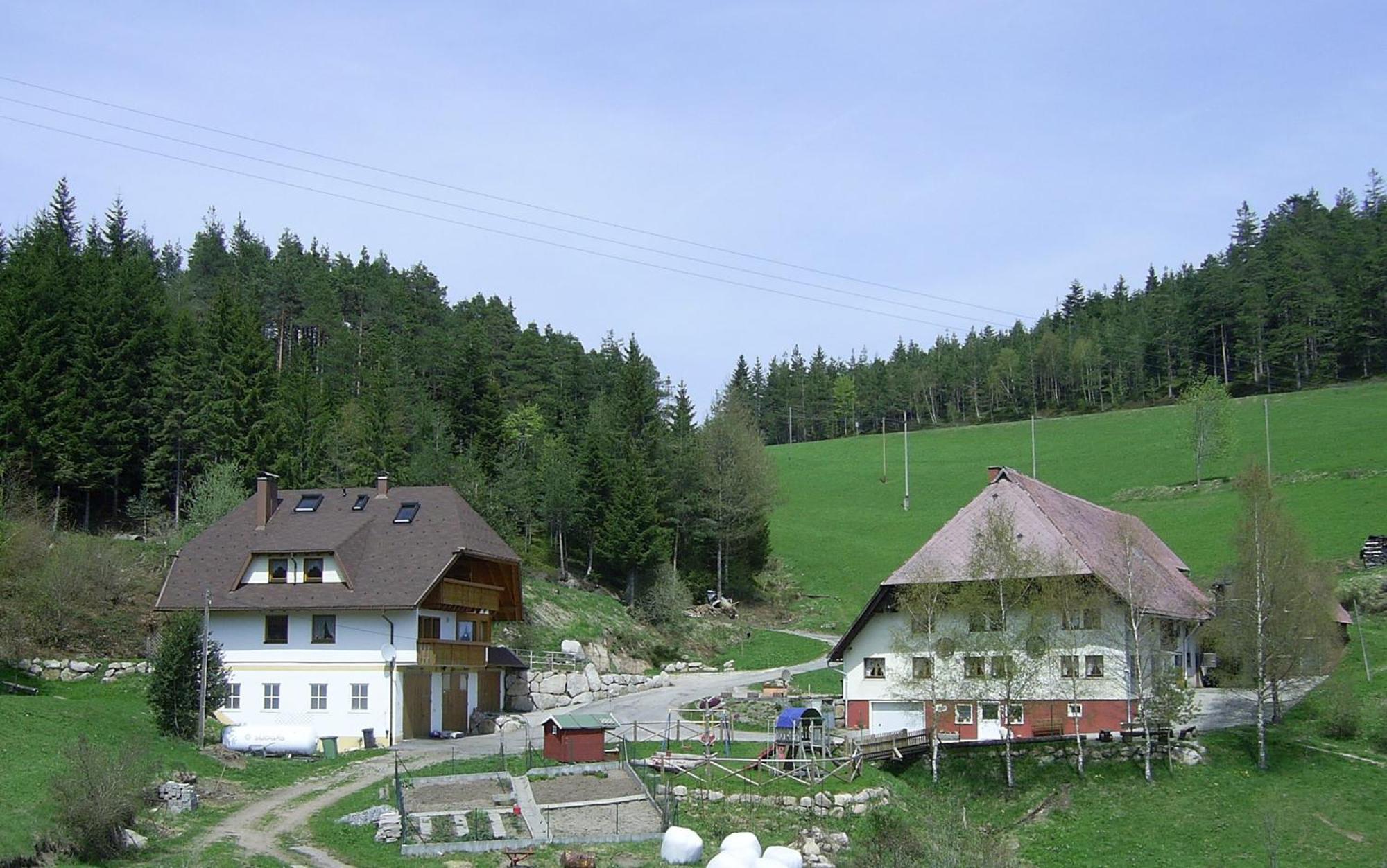 Hinterhauensteinhof Villa Hornberg Exterior foto